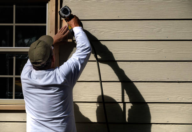 Affordable Siding Repair and Maintenance Services in Orion, IL